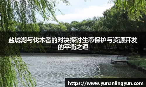 盐城湖与伐木者的对决探讨生态保护与资源开发的平衡之道